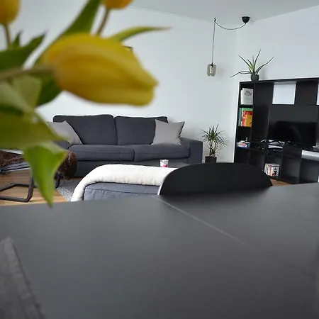 Apartament Apartment Pfungstadt